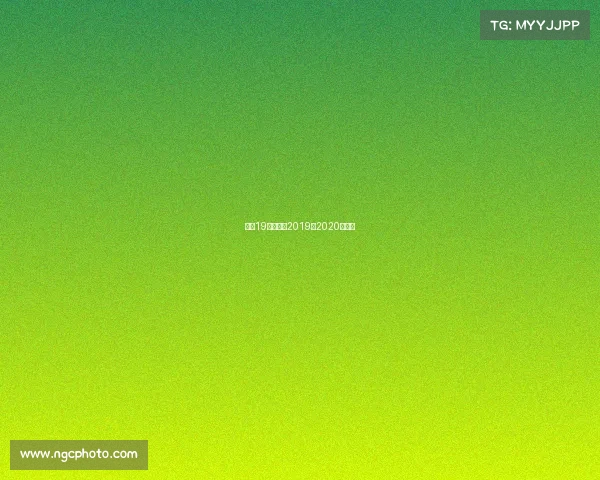 篮网19年赛事—2019至2020年篮网