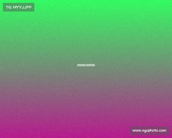 女乒今天赛事;女乒比赛日程