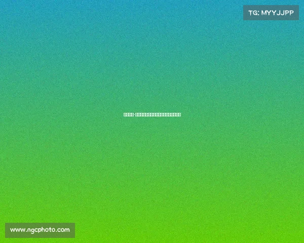 龙湾赛事-龙湾赛事盛典激情点燃梦想激情追逐荣耀